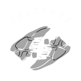 CALZARTE-STORE